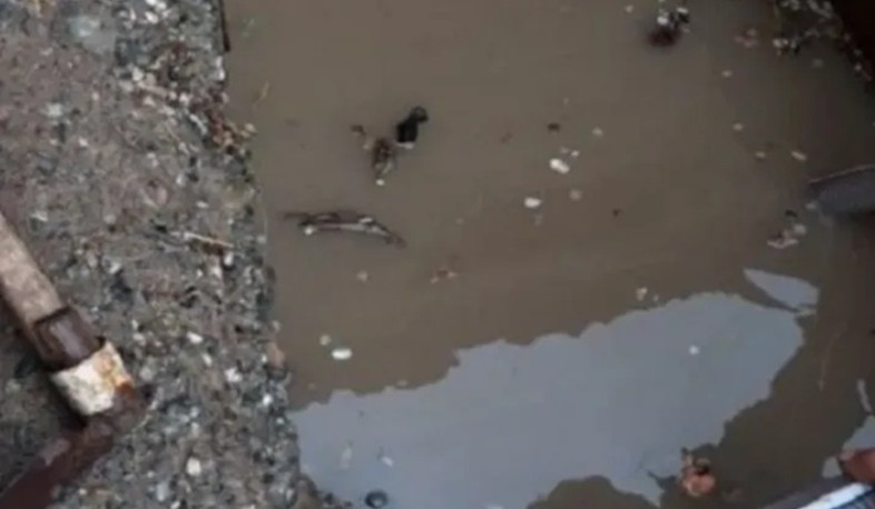 Եղեգնաձորում փրկարարները շինություններից մեկի նկուղային հարկից հեռացրել են մոտ 150 տոննա ջուր