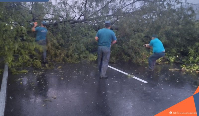 Իջևան-Նոյեմբերյան ճանապարհին բարդիներ են տապալվել, վնասվել է ավտոմեքենա․ փրկարարները մասնատել և հեռացրել են ծառերը