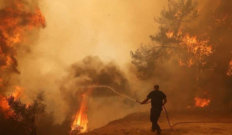 В Турции 10 человек погибли, пытаясь потушить лесные пожары