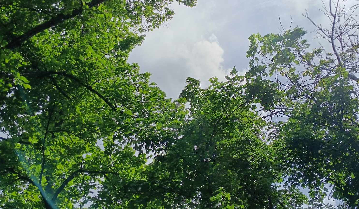 Օդի ջերմաստիճանը հուլիսի 25-26-ի ցերեկը կնվազի 2-4 աստիճանով, այնուհետև նույնքան կբարձրանա