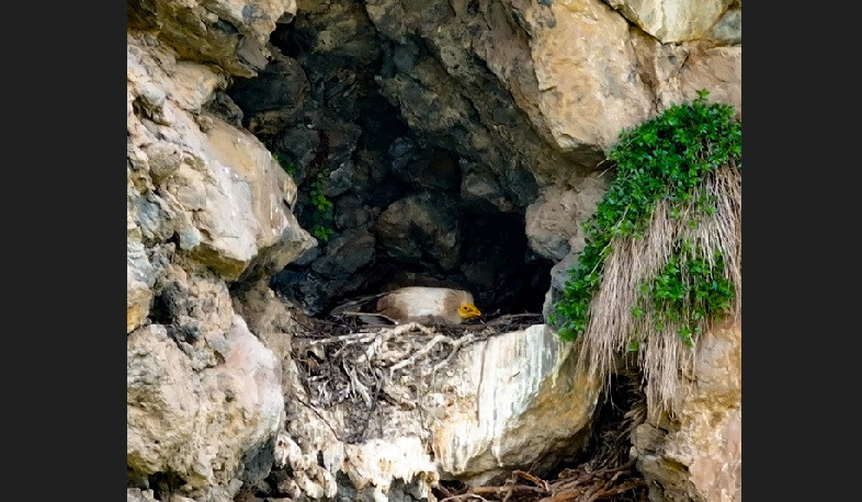 Բնության պահպանության համաշխարհային օրը հիշեցում է բնական ռեսուրսների պահպանման մեր պատասխանատվության մասին