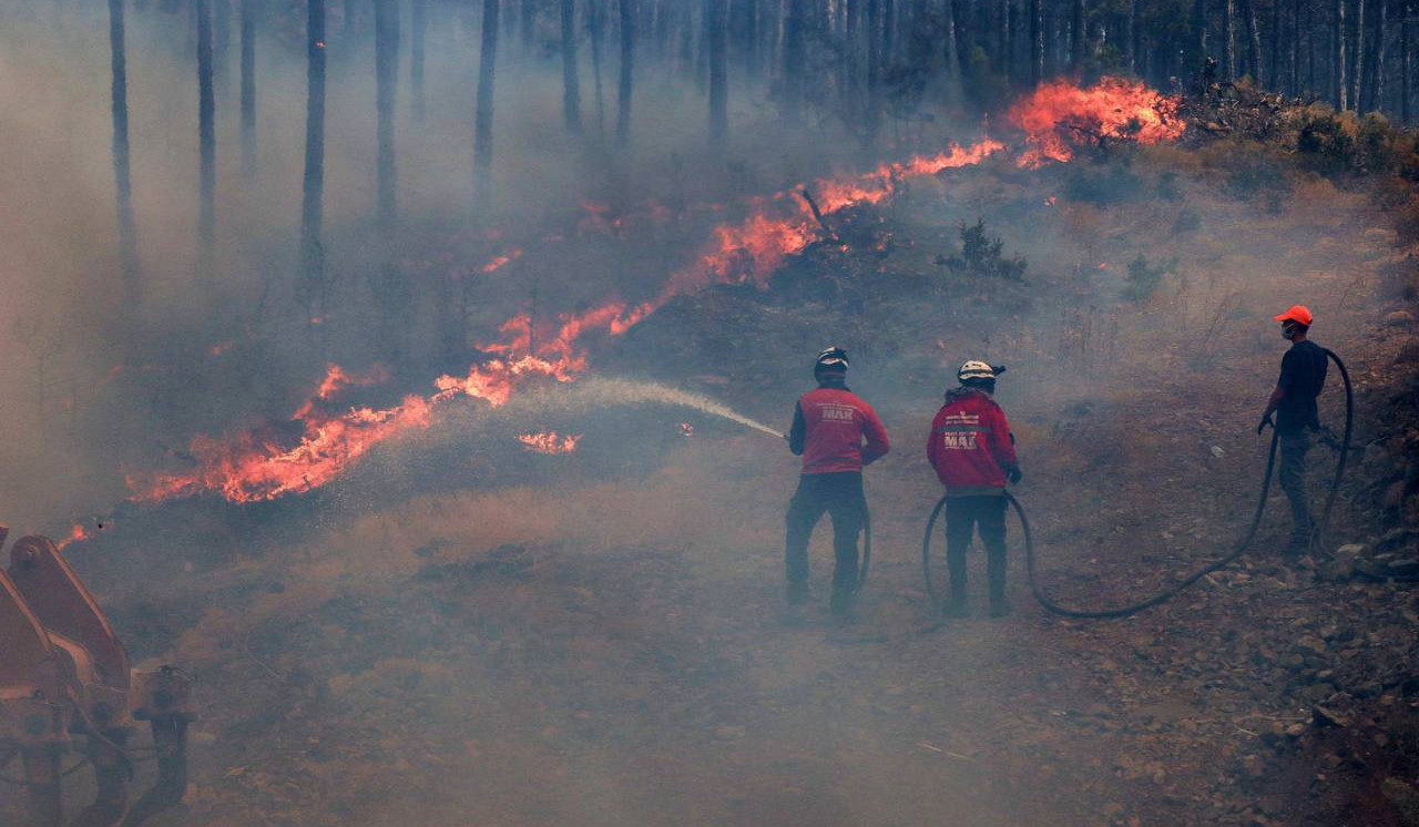Firefighters and locals battle wildfire in Turkey's northwestern Bursa province for third day