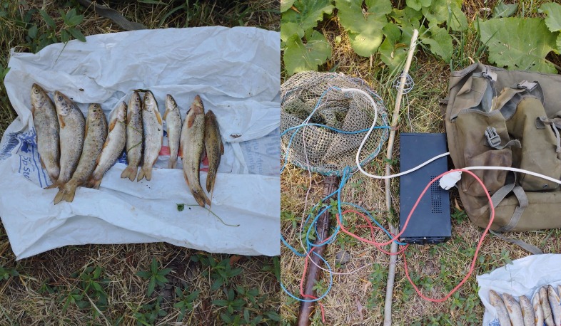 Քաղաքացին Մարմարիկ գետից էլեկտրական հոսանքահարման միջոցով կարմրախայտ է որսացել