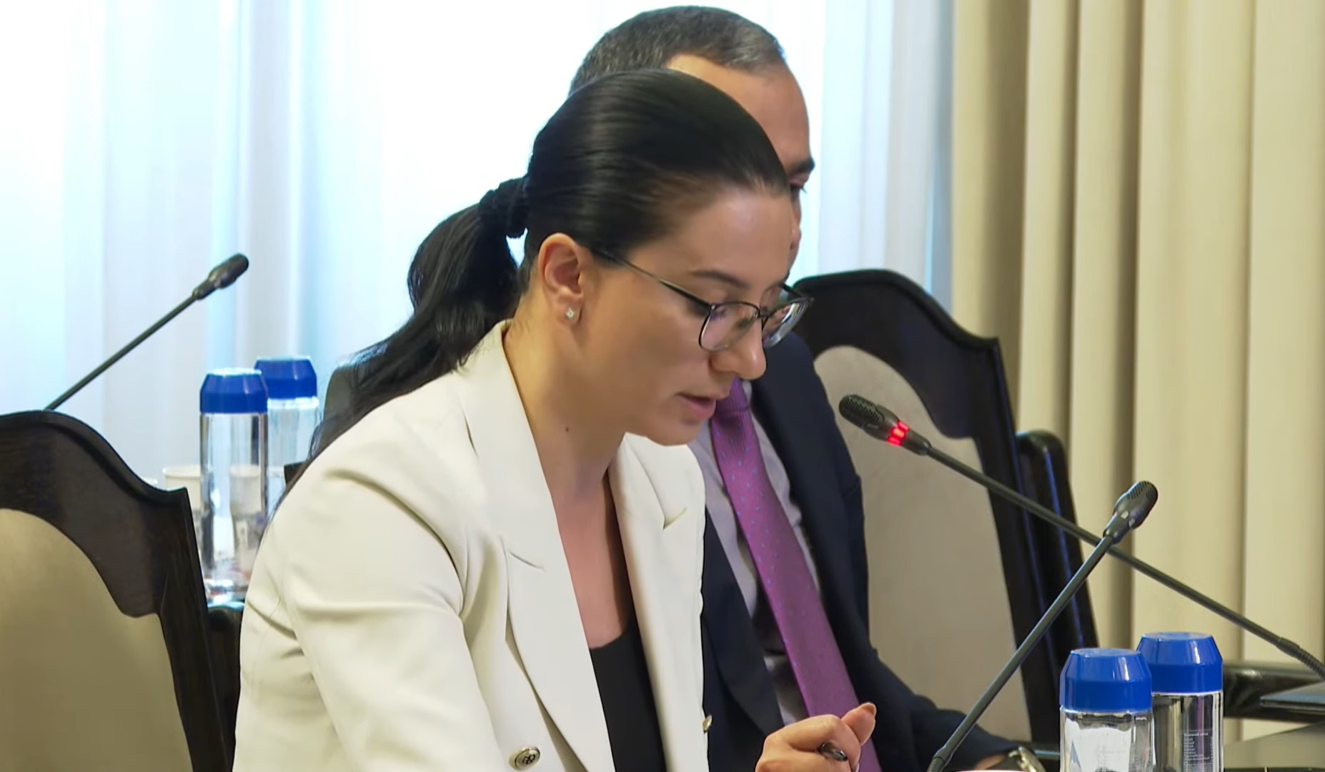 Գլխավոր դատախազն առաջարկում է Երևանի հեռուստաաշտարակին կից՝ պետությանը վերադարձված տարածքներում անտառ հիմնել