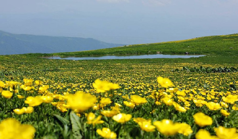 Ջերմաստիճանը օգոստոսի 8-11-ի գիշերը աստիճանաբար կնվազի 4-6, 9-11-ի ցերեկը՝ 2-4 աստիճանով