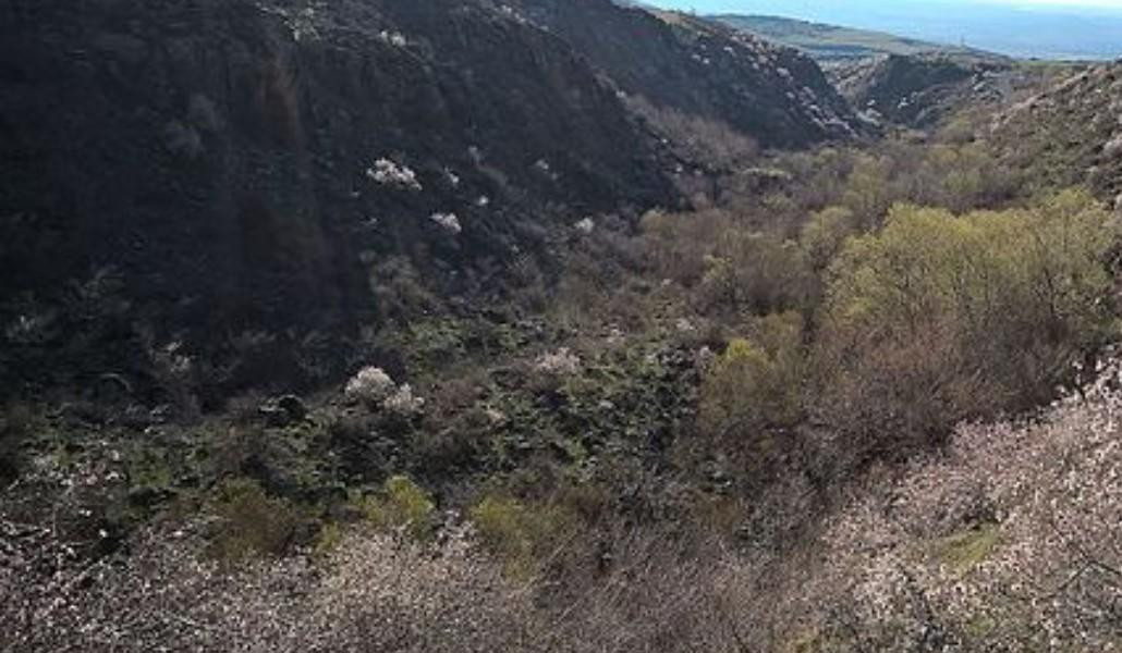 Փրկարարները Իլկասար կոչվող սարի մոտակա ձորակից հայտնաբերել են որոնվող քաղաքացուն