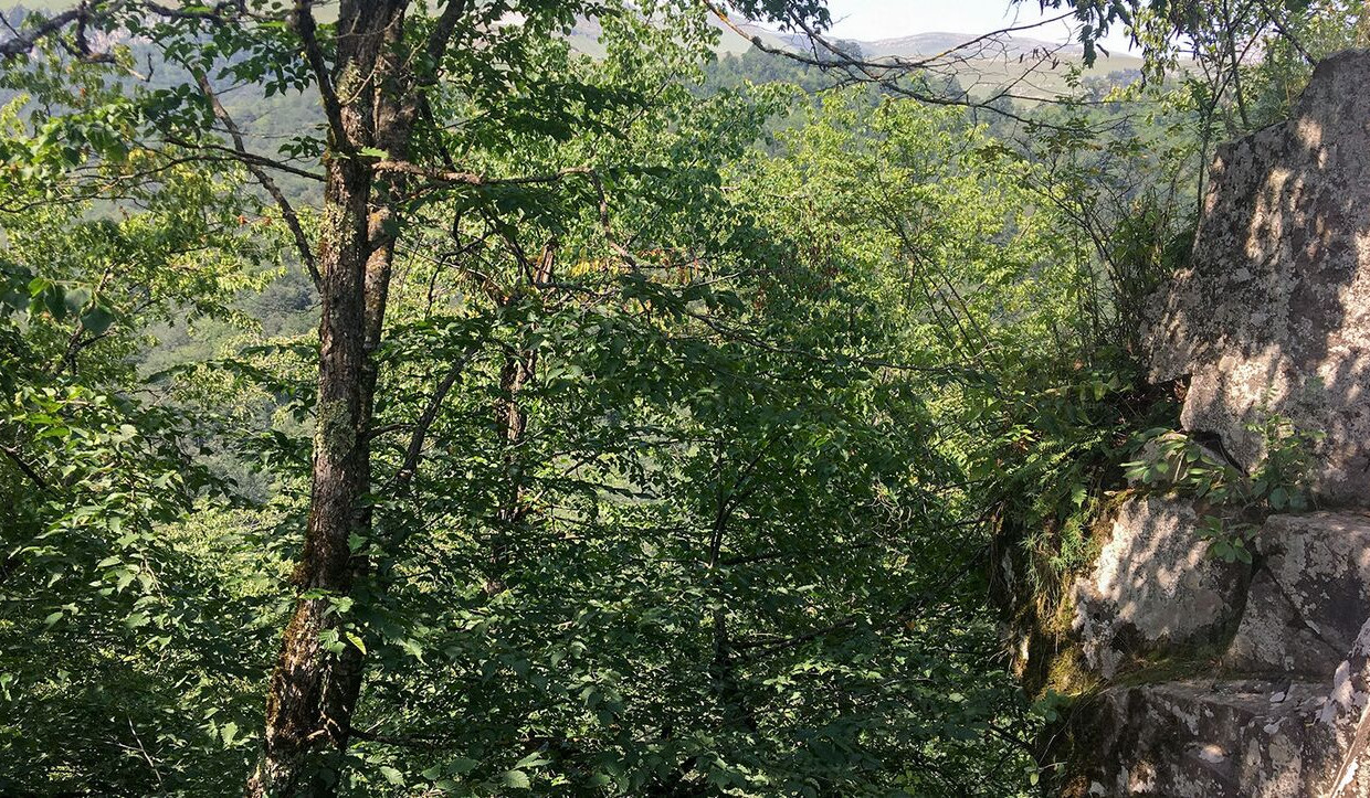 Կողբ գյուղի «Զիկատար» կոչվող տարածքում քաղաքացին ընկել է ձորը. օգնության են հասել փրկարարները