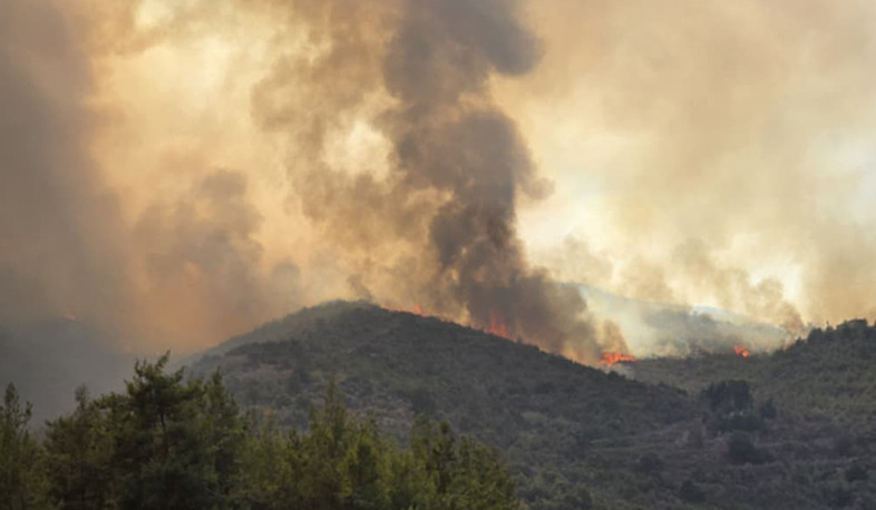 В сирийском Кесабе вспыхнули пожары, леса превратились в пепел