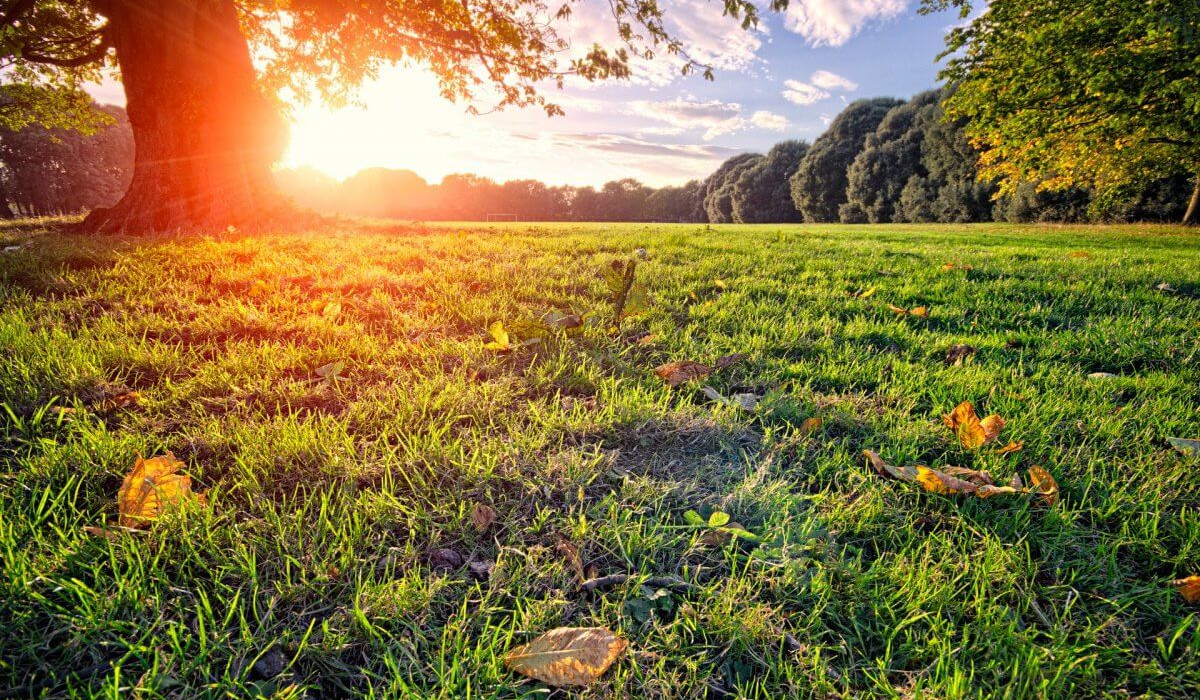 Օդի ջերմաստիճանը կբարձրանա. առաջիկա օրերի եղանակի կանխատեսումը