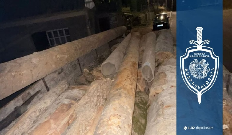 Բեռնատարը բարձված էր հաճարենու և թխկենու փայտանյութով․ Տավուշի համայնքային ոստիկանների բացահայտումը