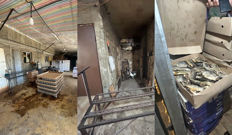 Ձկան վերամշակման, քացախաթթվի շշալցման արտադրամասի գործունեությունը կասեցվել է