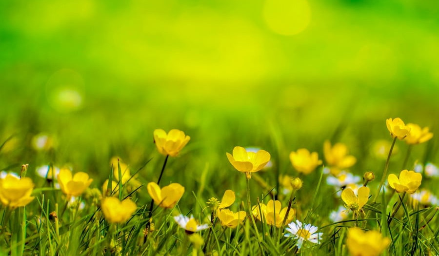 Սպասվում է առանց տեղումների եղանակ. ջերմաստիճանը էապես չի փոխվի