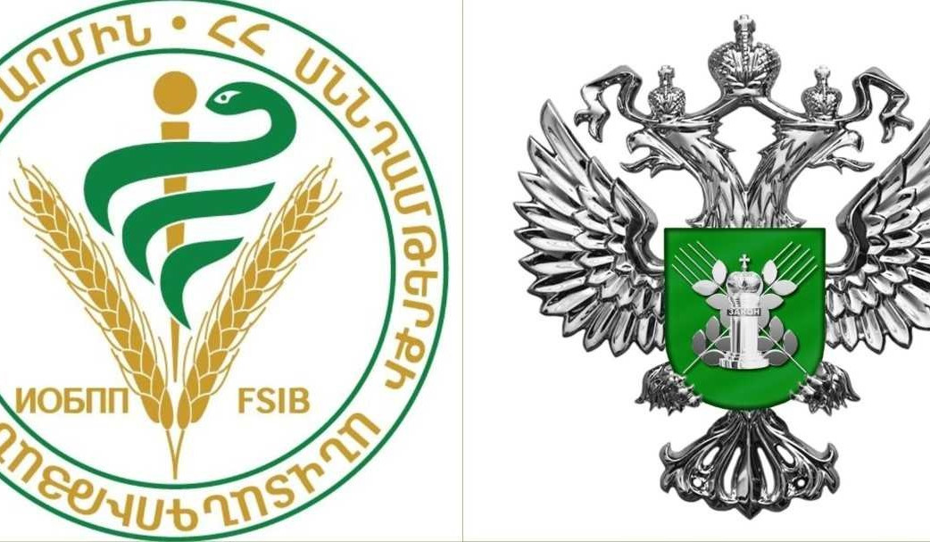 ՍԱՏՄ-ն տնտեսվարողներին հորդորում է Ռուսաստան բեռներ տեղափոխելիս խստորեն պահպանել ԵԱՏՄ և ՌԴ օրենսդրության պահանջները