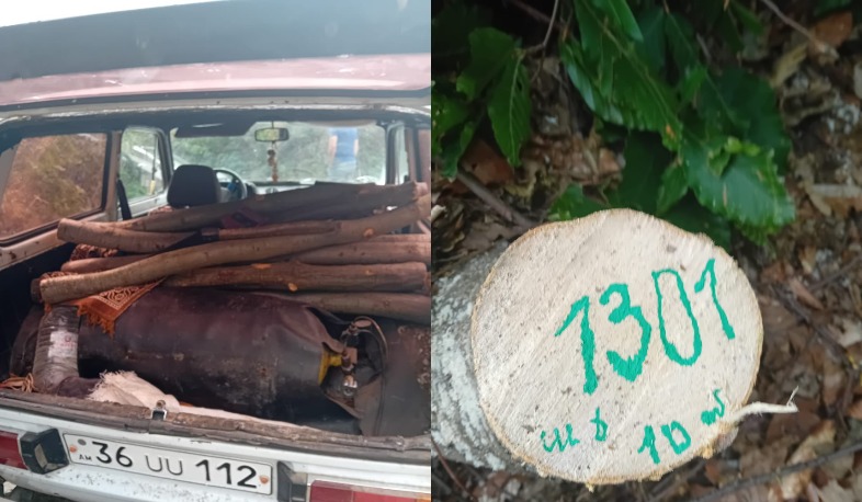 «Վանաձորի անտառտնտեսությունում» փայտանյութով բեռնված մեքենա է հայտնաբերվել. վարորդը օրինականությունը հավաստող փաստաթուղթ չի ներկայացրել