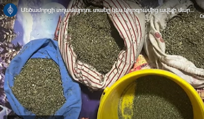 Մեծամորցի տղամարդու տանը կես կիլոգրամից ավելի մարիխուանա է հայտնաբերվել․ նա ձերբակալվել է
