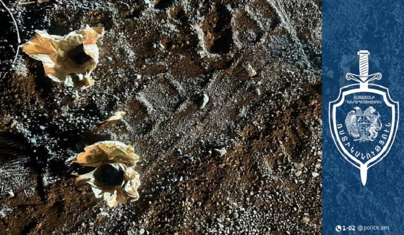 Գյումրիում թմրանյութ տեղադրելու պահին երկու քաղաքացի է ձերբակալվել