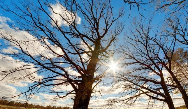 Օդի ջերմաստիճանը աստիճանաբար կբարձրանա 2-5 աստիճանով