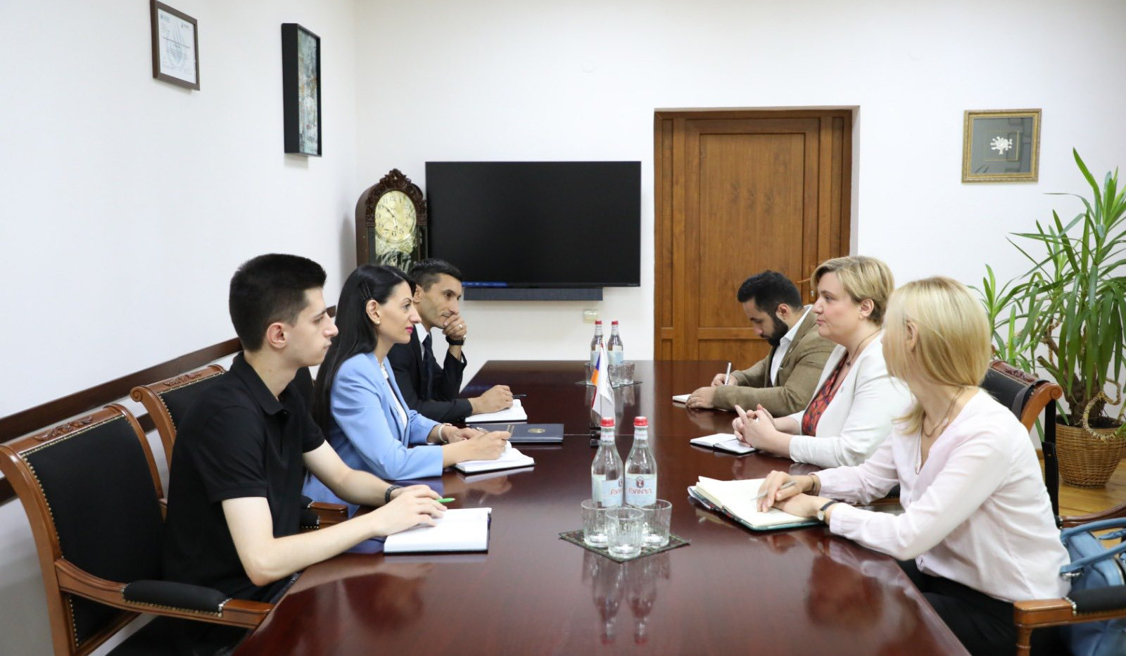 Human Rights Defender and Head of ICRC Delegation to Armenia discussed issues of mutual interest