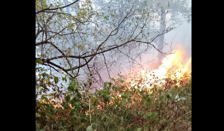 Հրդեհ «Հայանտառ» ՊՈԱԿ-ի «Արծվաբերդի անտառտնտեսություն» մասնաճյուղին հարակից տարածքում