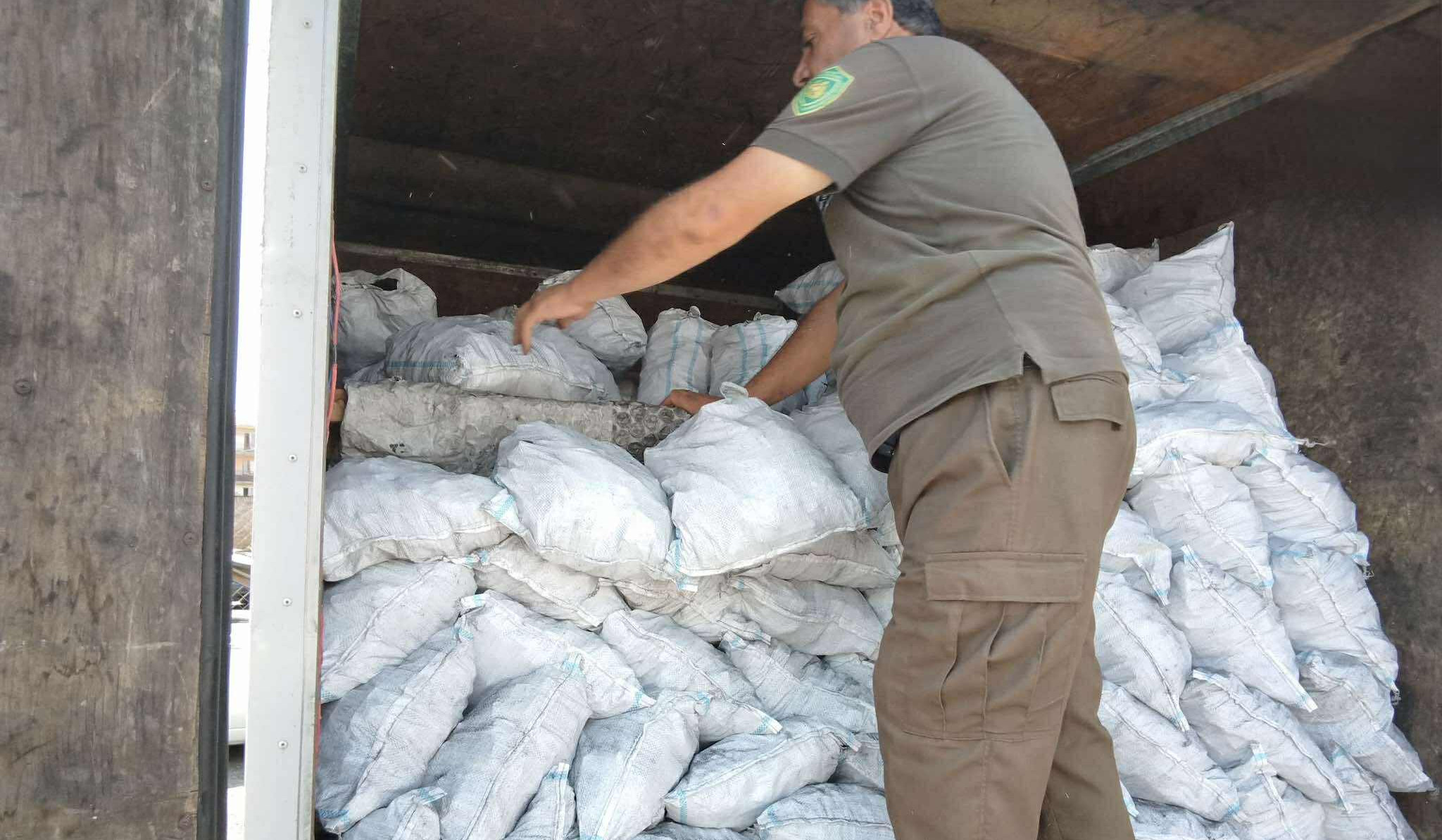 Ապօրինի փայտանյութի ու սևահողի տեղափոխում, մթնոլորտային օդի աղտոտում․ ԲԸՏՄ ստուգայցերի արդյունքներ