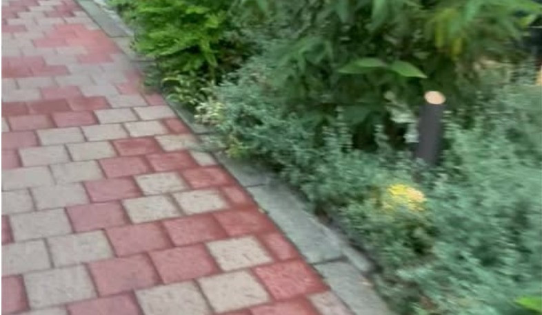 Աղբարկղերը և Տոկիոյի փողոցները. վարչապետը տեսանյութ է հրապարակել