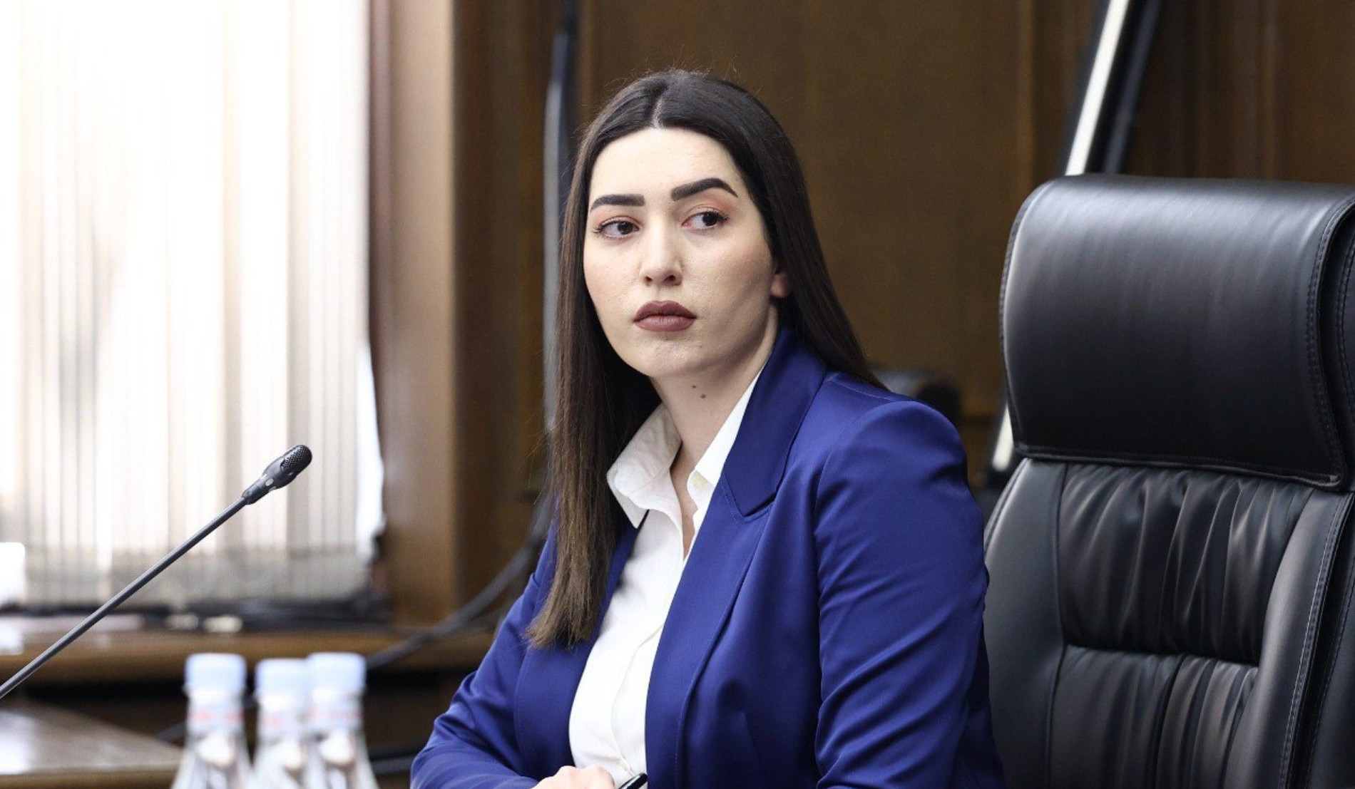 ՆԳ նախարարն անդրադարձել է ԱՄՆ-ում Հայաստանի դեսպանի եղբոր ձերբակալության հանգամանքին