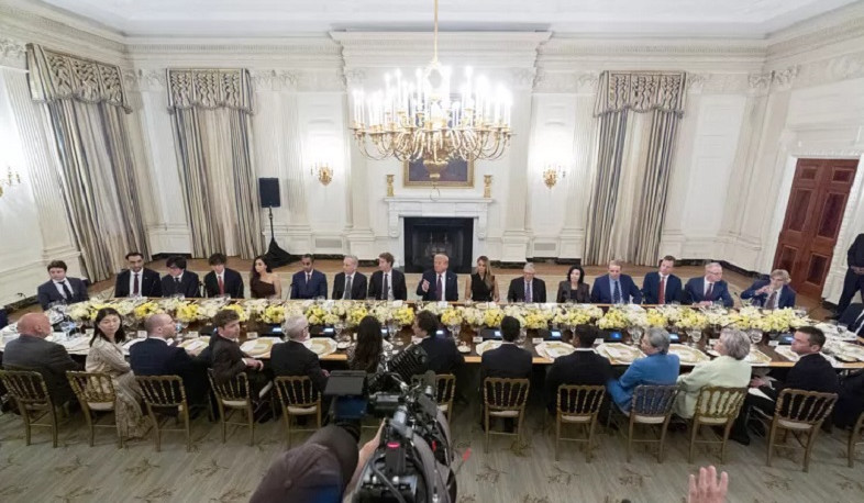 Elon Musk sidelined from Donald Trump's White House dinner with US tech executives: Euronews