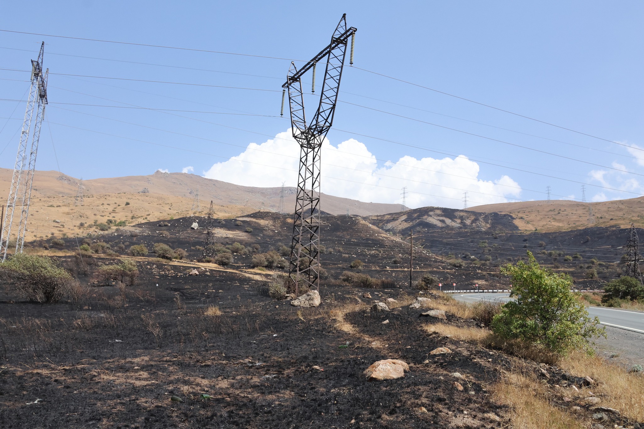 Սարավանում հրդեհի հետևանքով բուսական աշխարհին պատճառված վնասի փաստով ԲԸՏՄ-ն հաղորդում է ներկայացրել ՔԿ. վնասի չափը՝ մոտ 1,8 մլն դրամ
