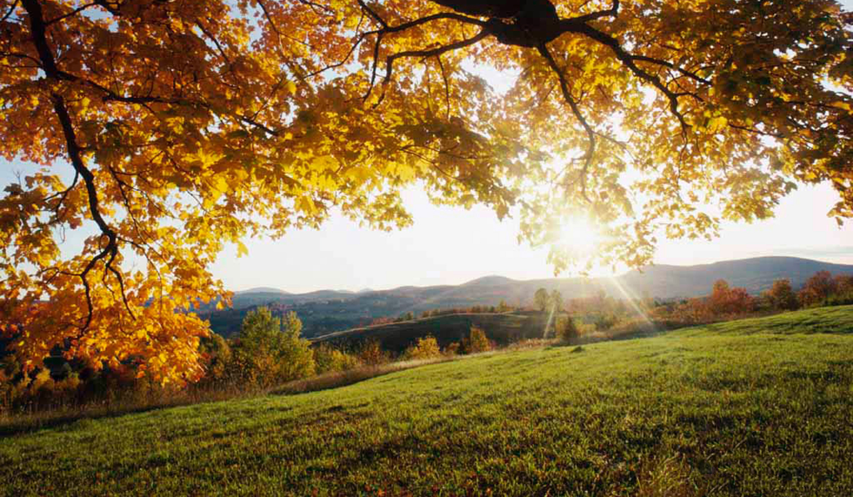 Հնարավոր է թույլ, կարճատև անձրև. ջերմաստիճանը էապես չի փոխվի