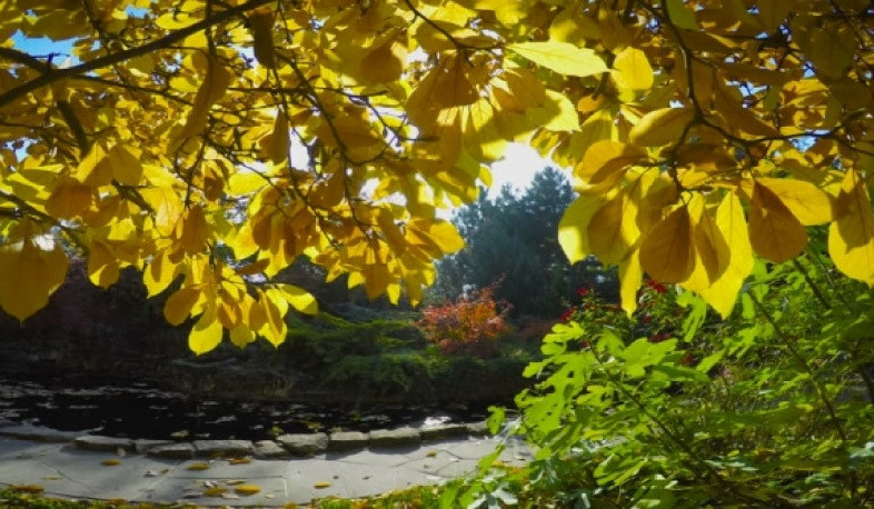 Առաջիկա երկու օրը՝ առանց տեղումների եղանակ․ ջերմաստիճանը էապես չի փոխվի