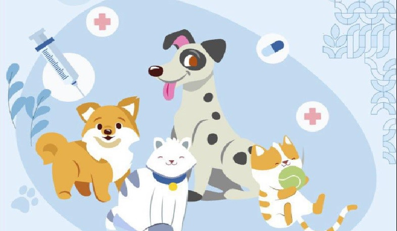 Տարեսկզբից արդեն պատվաստվել և վերապատվաստվել է շուրջ 2130 թափառող շուն․ քաղաքապետարան