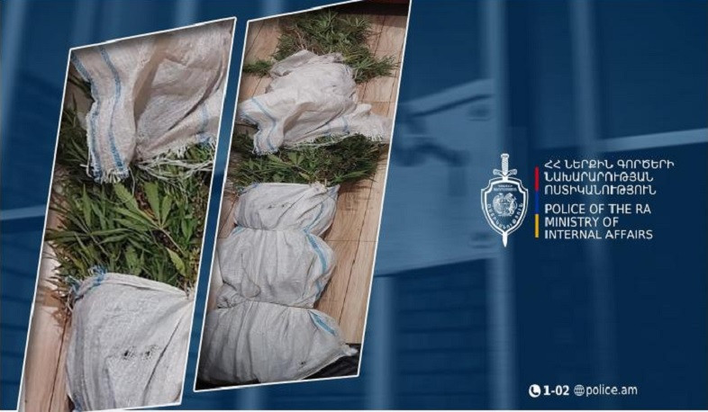 Հնաբերդում՝ 32-ամյա երիտասարդի տնամերձ հողամասում, կանեփի 42 բույս է հայտնաբերվել. կատարվում է նախաքննություն