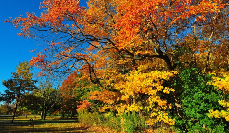 Առաջիկա օրերին սպասվում է առանց տեղումների եղանակ