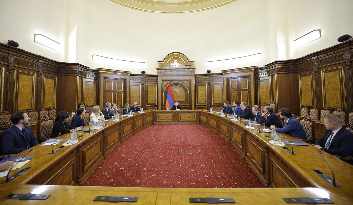 Վարչապետը և Save Armenia-ի ներկայացուցիչներն անդրադարձել են Հայաստան-ԱՄՆ ռազմավարական գործընկերությանը