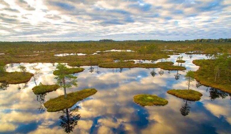Լատվիան ցանկանում է վերականգնել ճահճուտները՝ Ռուսաստանի հետ սահմանը պաշտպանելու համար