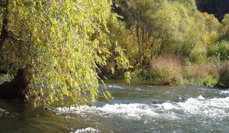 Հաղարծին գետն ընկած քաղաքացին հոսպիտալացվել է