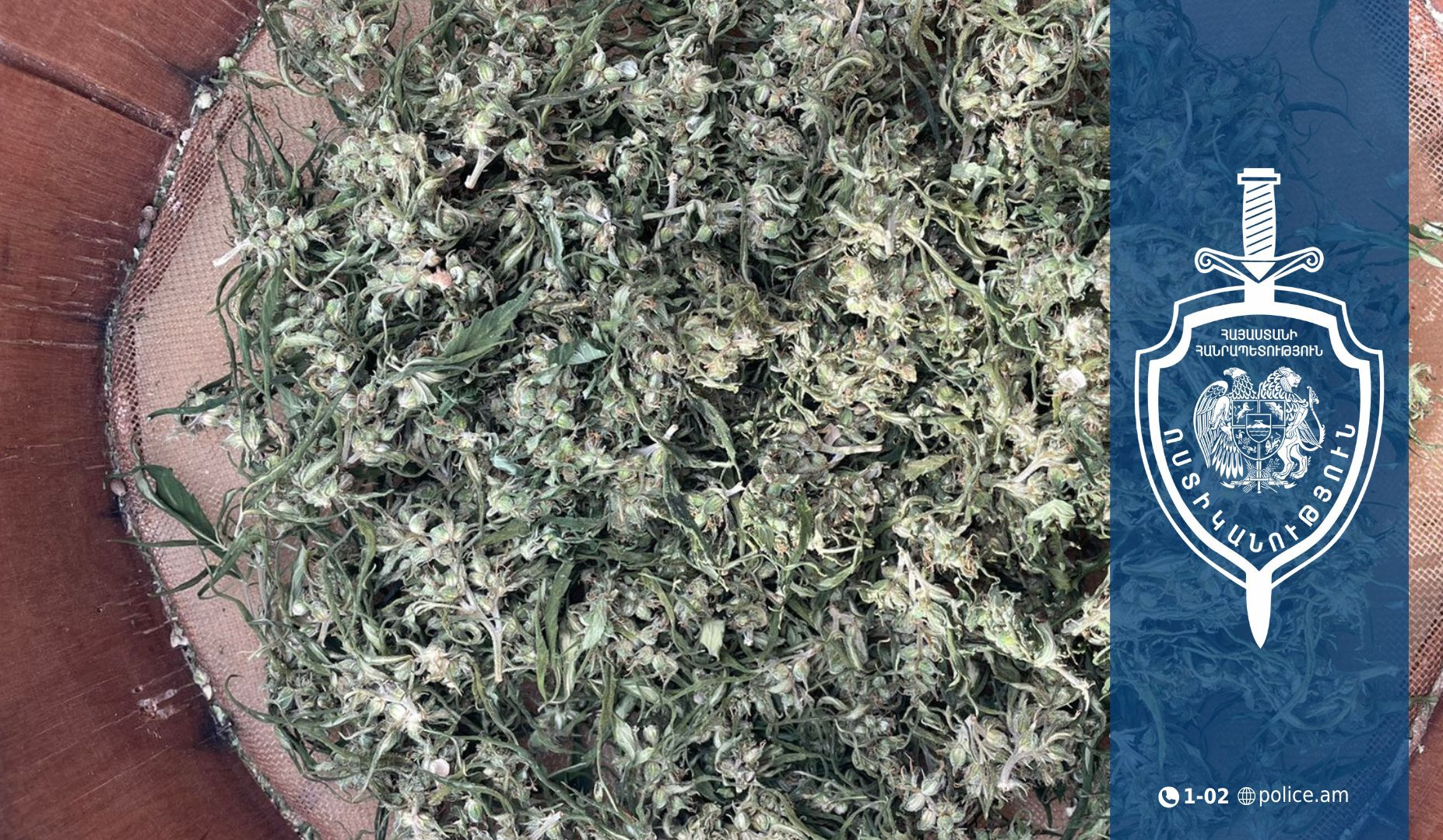 Խոշոր չափերի մարիխուանայի հայտնաբերում Վանաձորում. ոստիկանների բացահայտումը