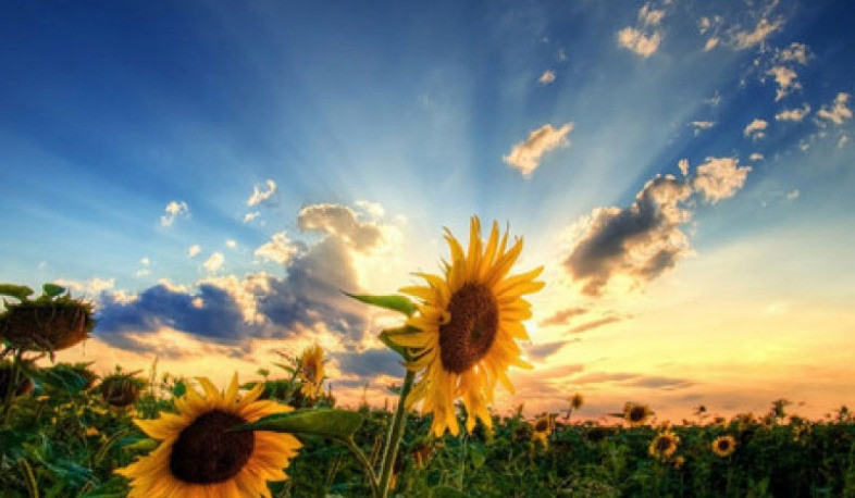 Օդի ջերմաստիճանը կբարձրանա. առաջիկա օրերի եղանակի կանխատեսումը