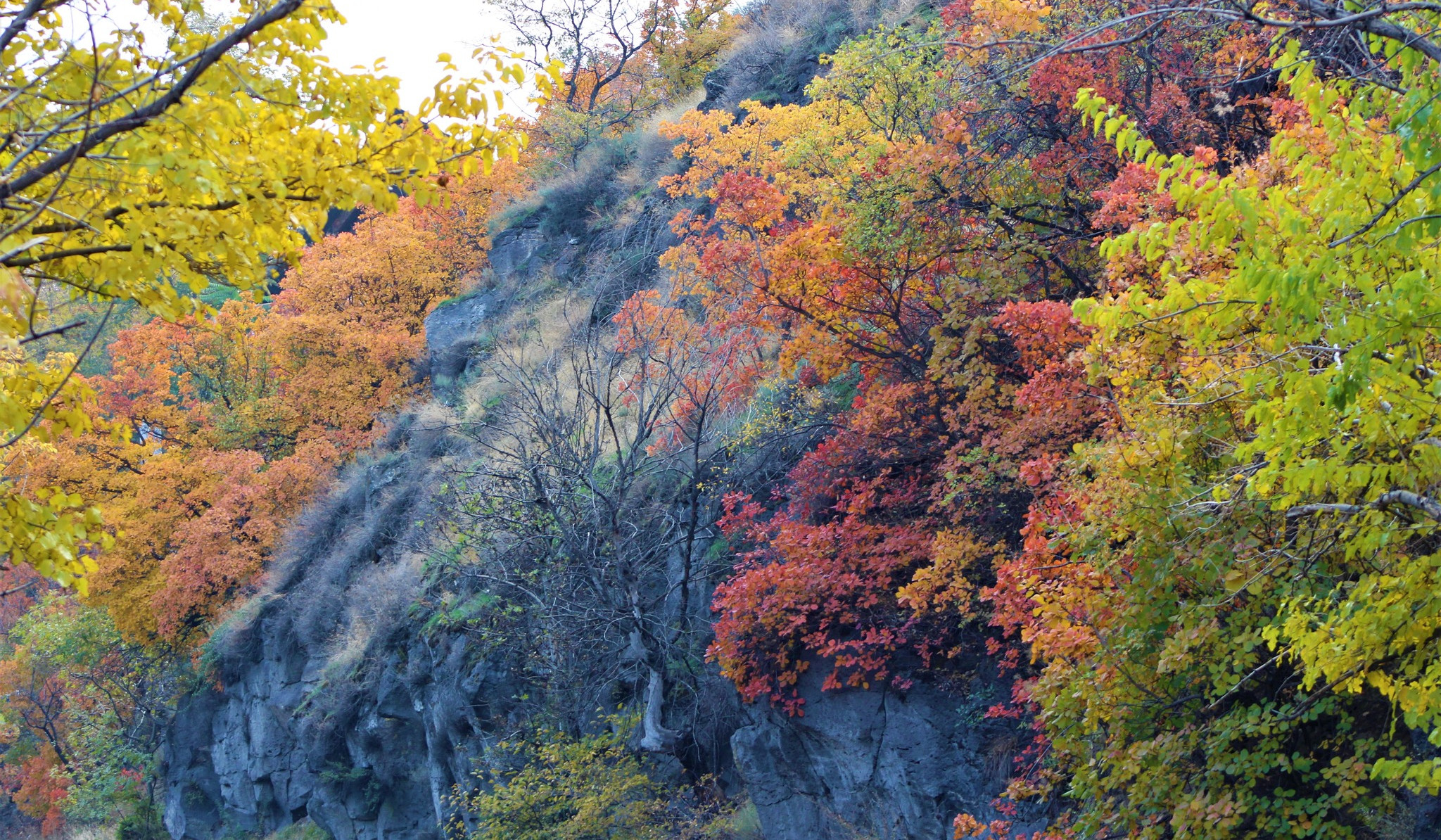 Ջերմաստիճանը սեպտեմբերի 27-ի ցերեկը կնվազի 3-5 աստիճանով, այնուհետև նույնքան կբարձրանա