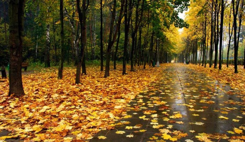 Հանրապետության առանձին շրջաններում սպասվում է անձրև, հնարավոր է՝ նաև մառախուղ