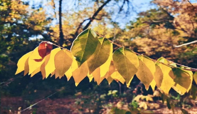 Առաջիկա օրերը՝ առանց տեղումների․ ջերմաստիճանը կբարձրանա 3-5 աստիճանով