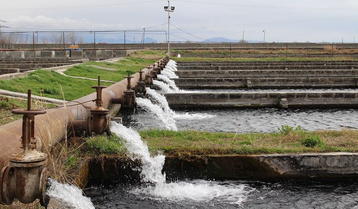 Որոշակիացվել են Արարատյան դաշտի վերականգնվող ստորերկրյա ջրային ռեսուրսների ծավալը և դրա բաշխումը. նախագիծ