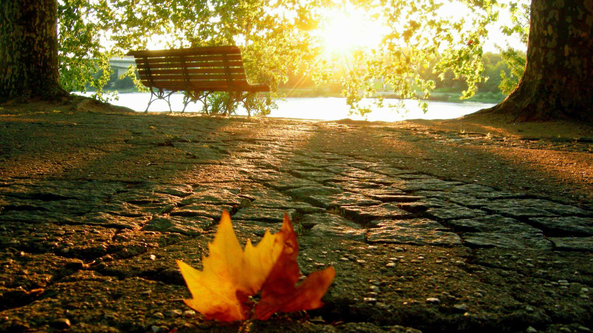 Ջերմաստիճանը հոկտեմբերի 1-2-ը աստիճանաբար կնվազի 5-8 աստիճանով, այնուհետև նույնքան կբարձրանա