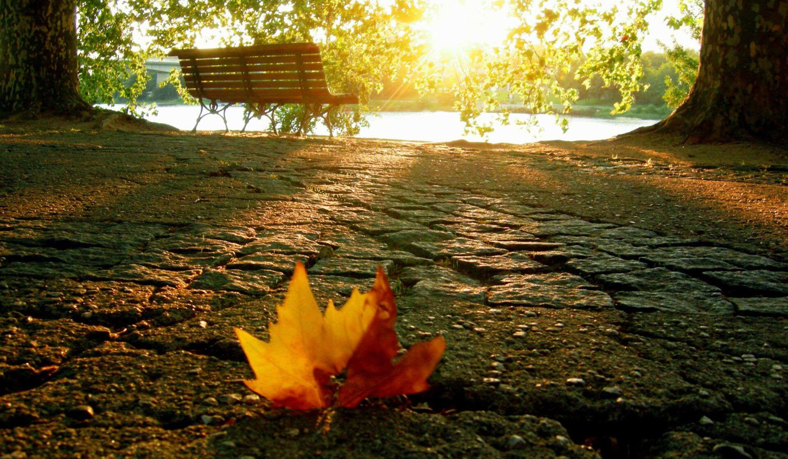 Հոկտեմբերի 3-7-ը սպասվում է առանց տեղումների եղանակ, ջերմաստիճանը կբարձրանա 8-10 աստիճանով