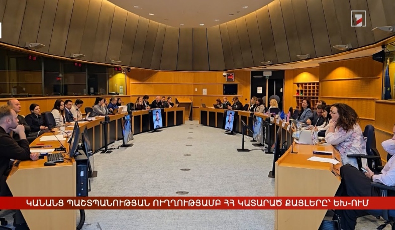Կանանց պաշտպանության ուղղությամբ ՀՀ կատարած քայլերը՝ Եվրախորհրդարանում
