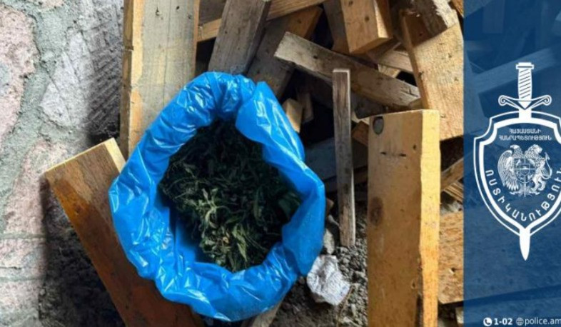Ոստիկանները Լուսագյուղի 60-ամյա բնակչի տան բակում թմրամիջոց են հայտնաբերել