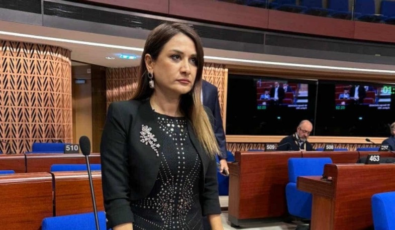 Arusyak Julhakyan gives speech during PACE Session: It is much more important that political parties speak and work for democracy