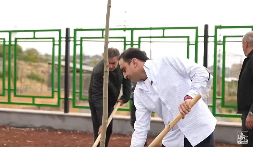 Նորք-Մարաշում գտնվող պուրակում տնկեցինք շուրջ 500 հասուն ծառեր և մշտադալար թփեր. Ավինյան