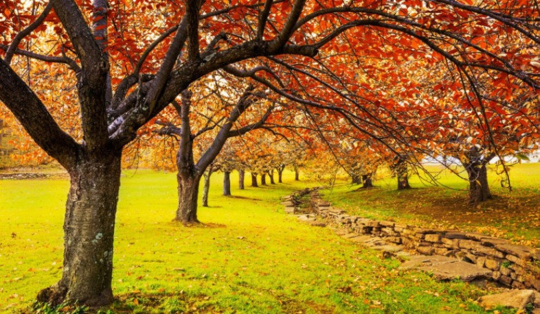 Օդի ջերմաստիճանը աստիճանաբար կբարձրանա 8-10 աստիճանով