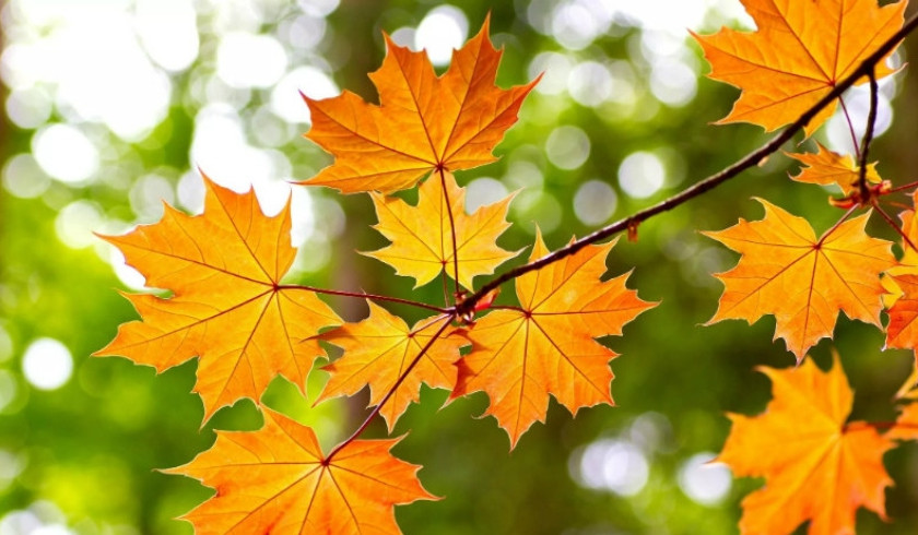 Առաջիկա օրերը՝ առանց տեղումների. ջերմաստիճանը կբարձրանա ևս 2-3 աստիճանով